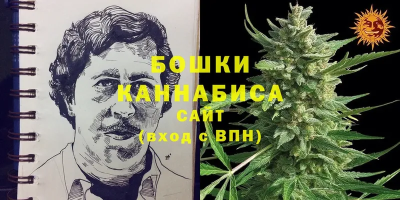 Канабис THC 21%  продажа наркотиков  гидра маркетплейс  Егорьевск 